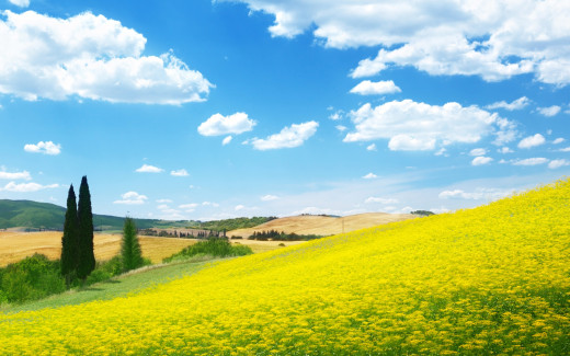 1268400 (a): :2560x1600